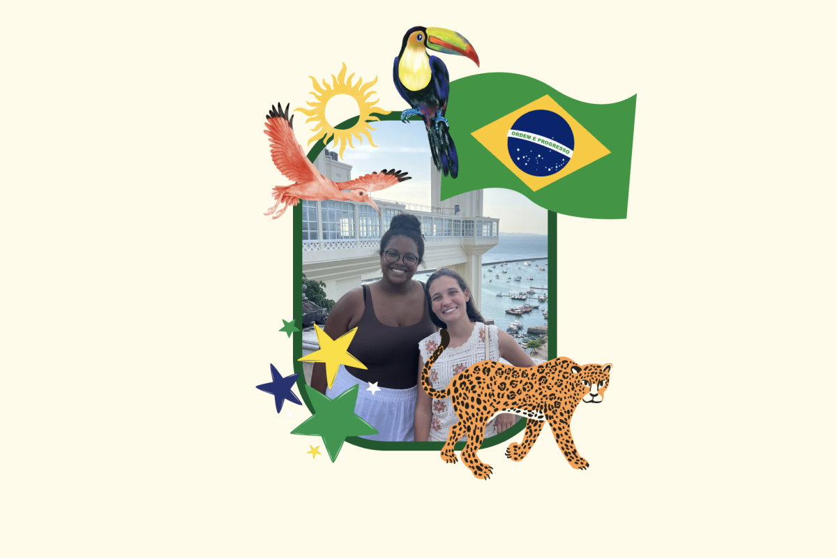 I absolutely adore Brazil, and I am always counting down the days until I can go back!